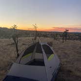 Review photo of Mojave Cross Dispersed — Mojave National Preserve by Emma G., November 20, 2022