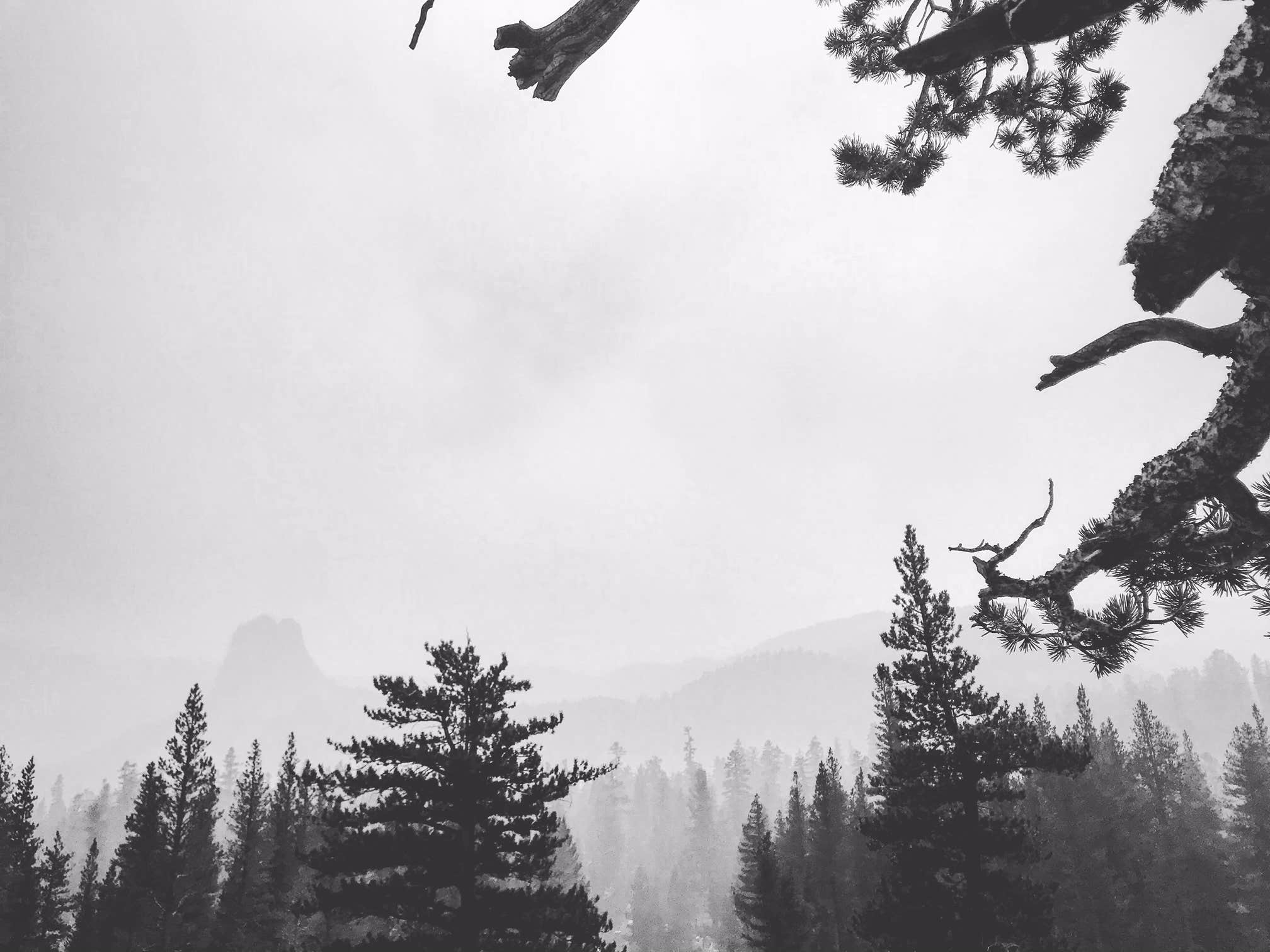 smokey views