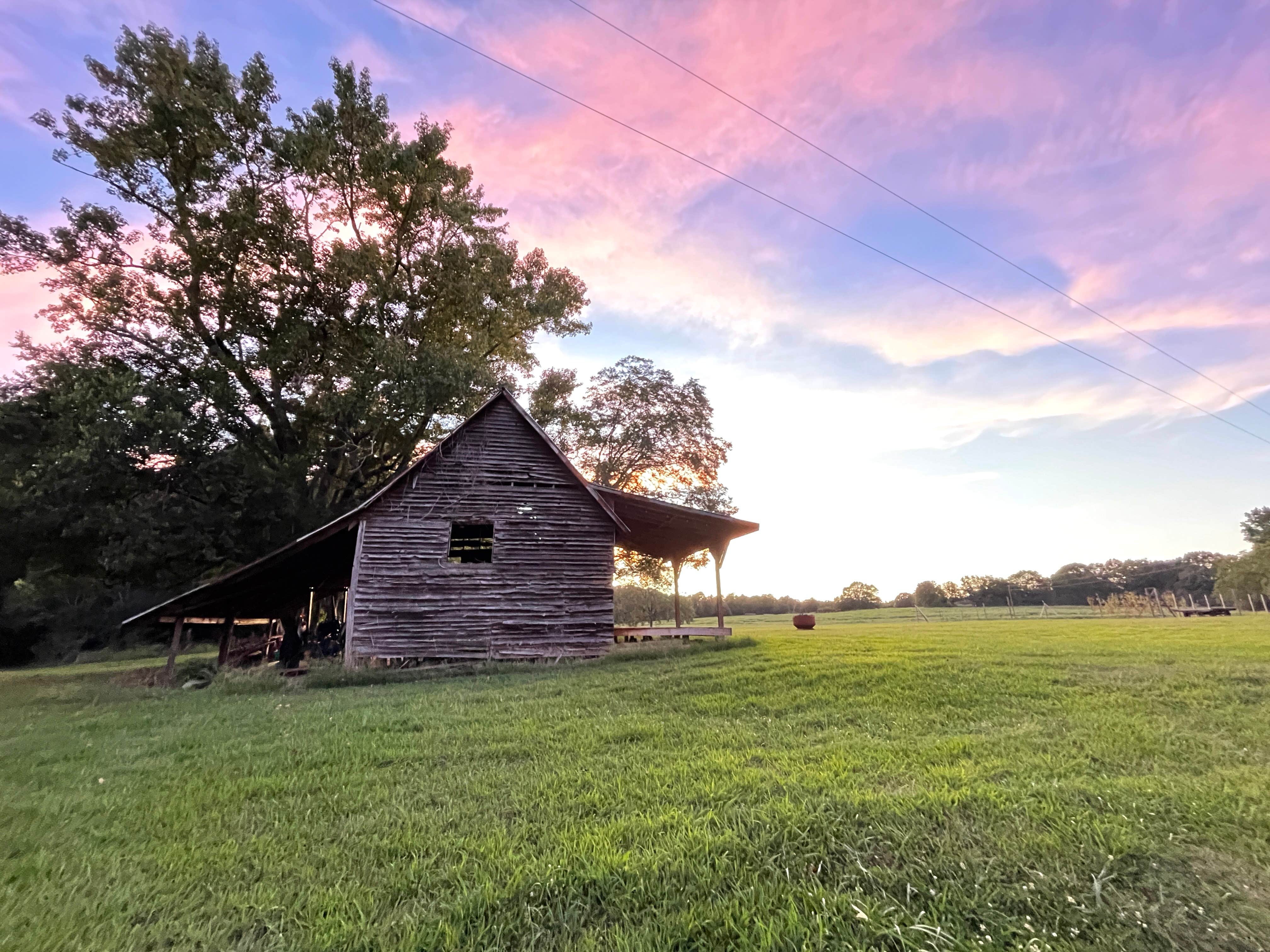 Camper-submitted photo at Beechwood Farms near Watkinsville, GA