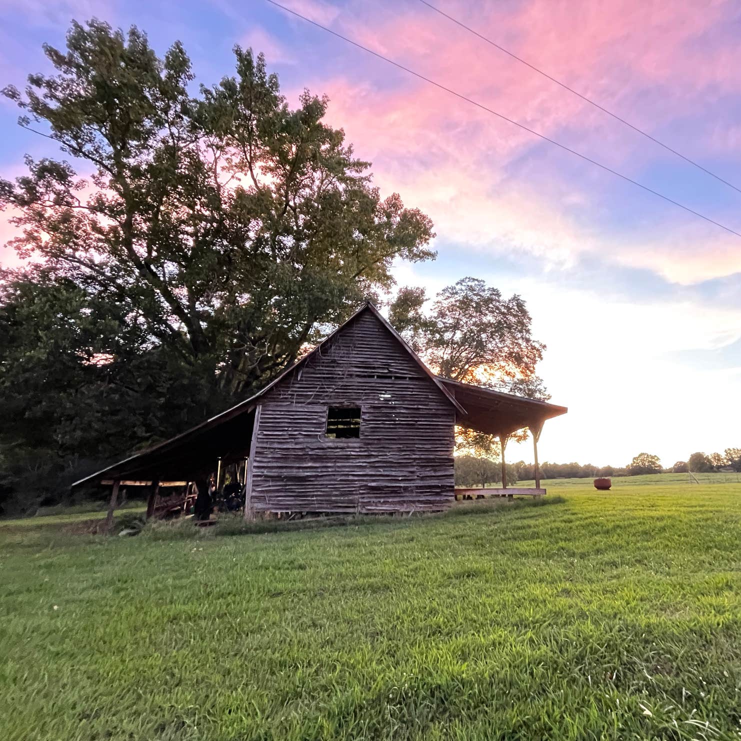Beechwood Farms Camping The Dyrt