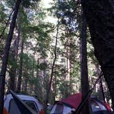 Review photo of Upper Pines Campground — Yosemite National Park by Jasmine V., August 9, 2016
