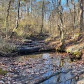 Review photo of DeSoto State Park Campground by John W., November 20, 2022