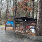 Review photo of Morganton Point Campground by Shelly S., November 17, 2022