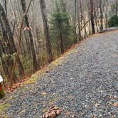 Review photo of Morganton Point Campground by Shelly S., November 17, 2022