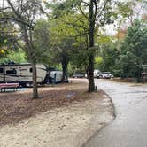 Review photo of Myrtle Beach State Park Campground by Shelly S., November 17, 2022