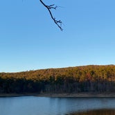 Review photo of COE Lake Ouachita Crystal Springs Campground by Scott L., November 20, 2022