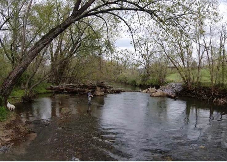 Camper-submitted photo at Vagabond Isle near White Post, VA