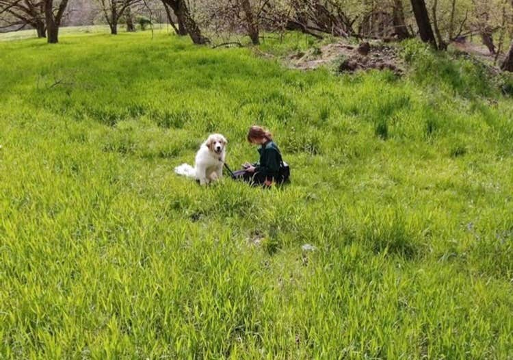 Camper-submitted photo at Vagabond Isle near White Post, VA
