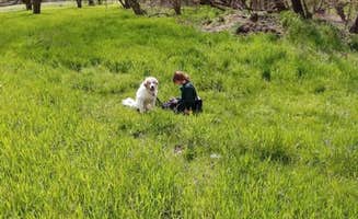 Tim K.'s photo of camping with pets at Vagabond Isle near Martinsburg, WV