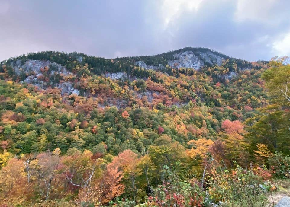 Toad Hill Camping The Dyrt