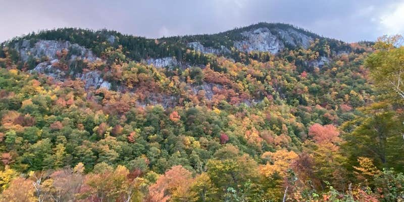 Camper submitted image from Toad Hill