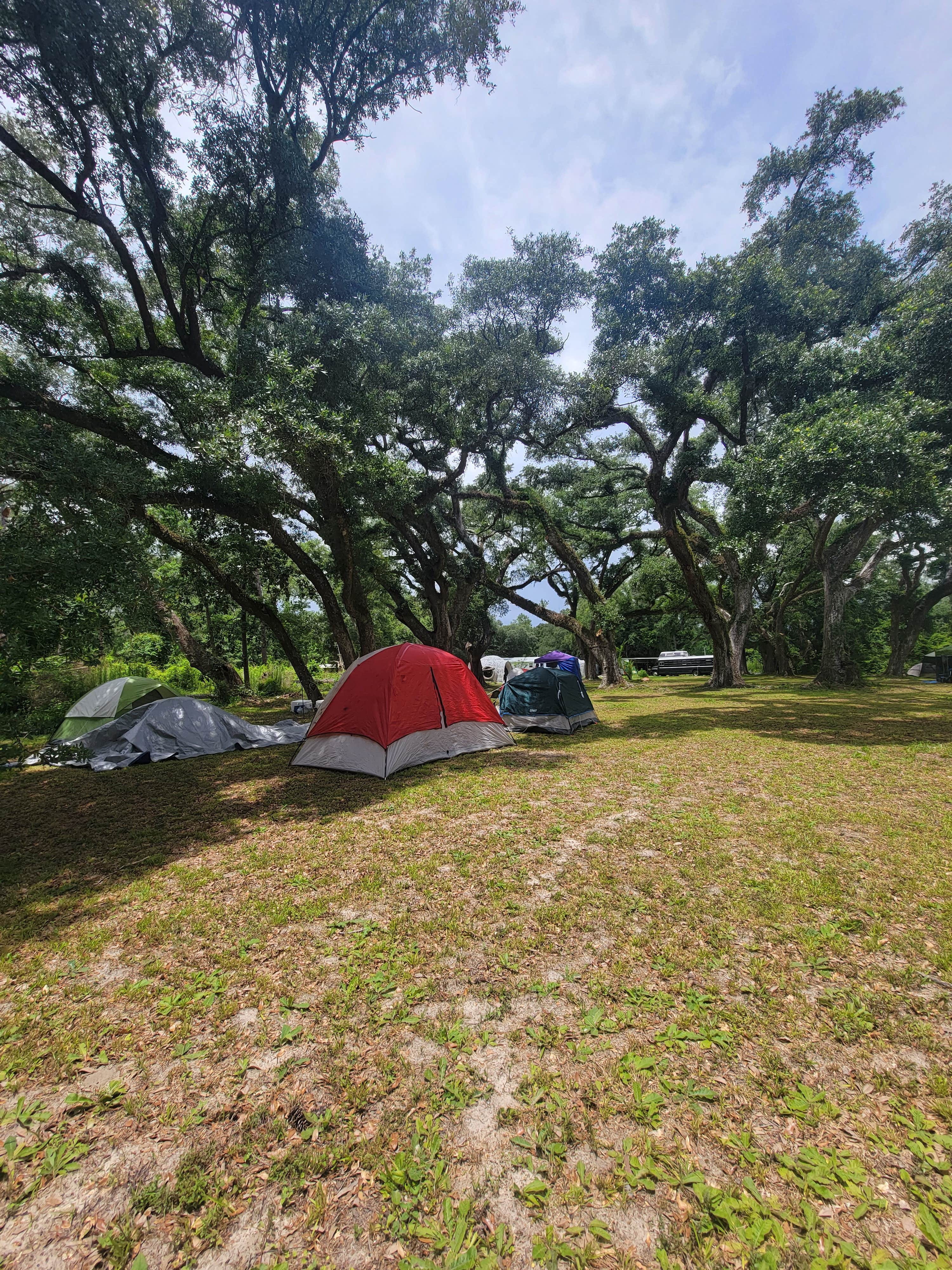 Emma G.'s photo at Beakertopia near Robertsdale, AL