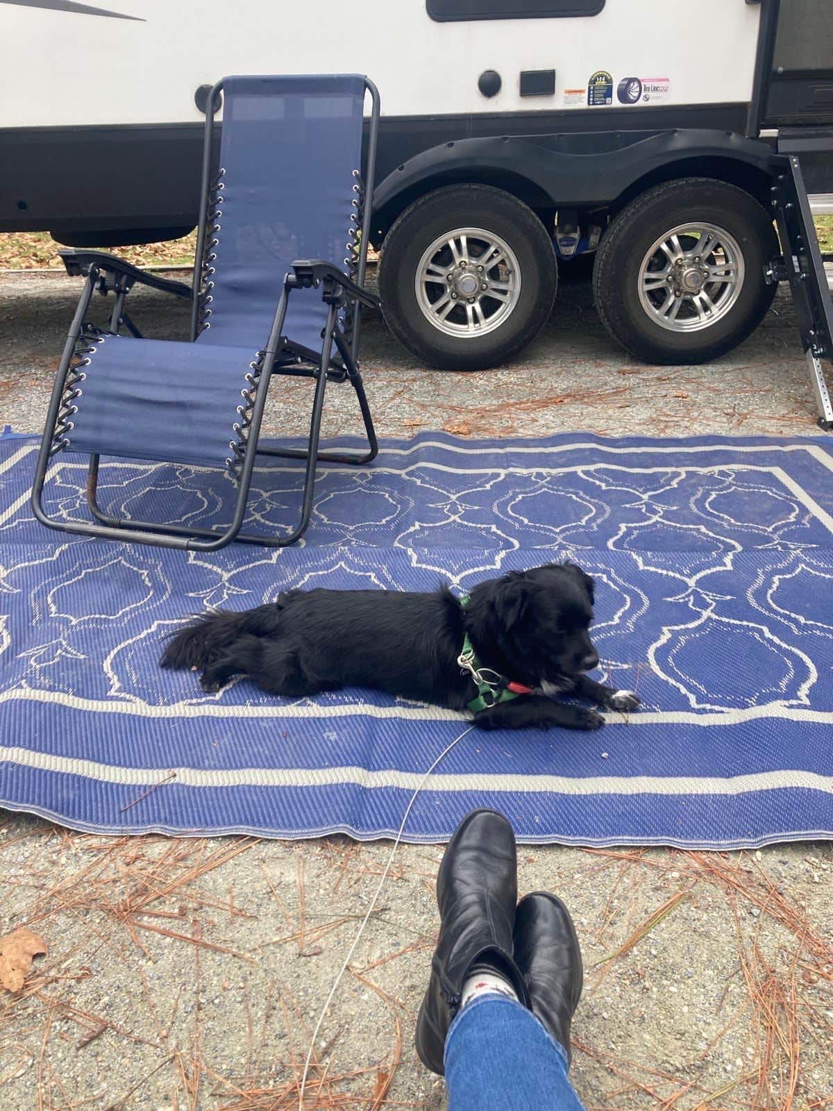 Kevin H.'s photo of camping with pets at Eastbank near Havana, FL