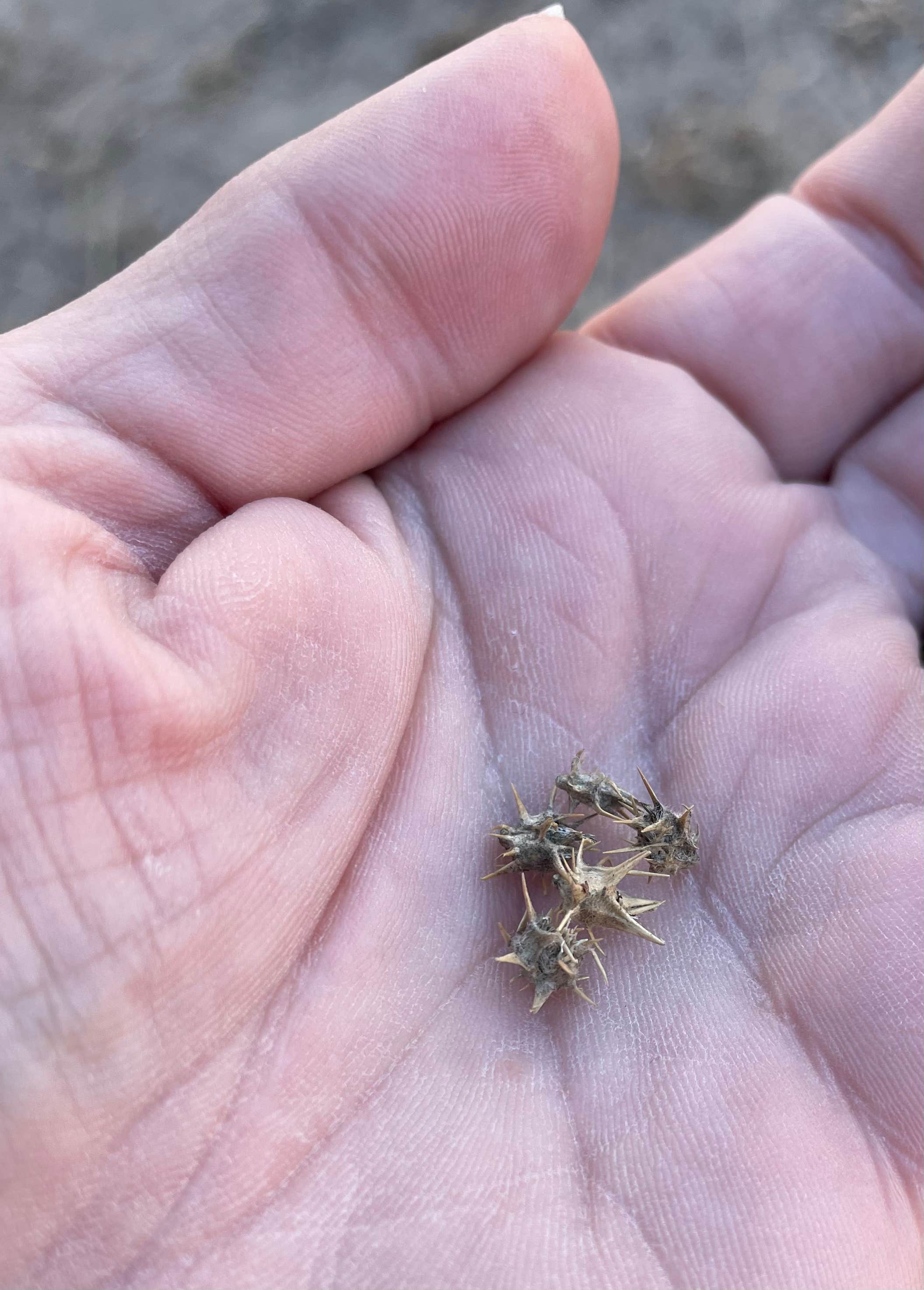McBride Canyon & Mullinaw Creek Camp — Lake Meredith National Recreation Area