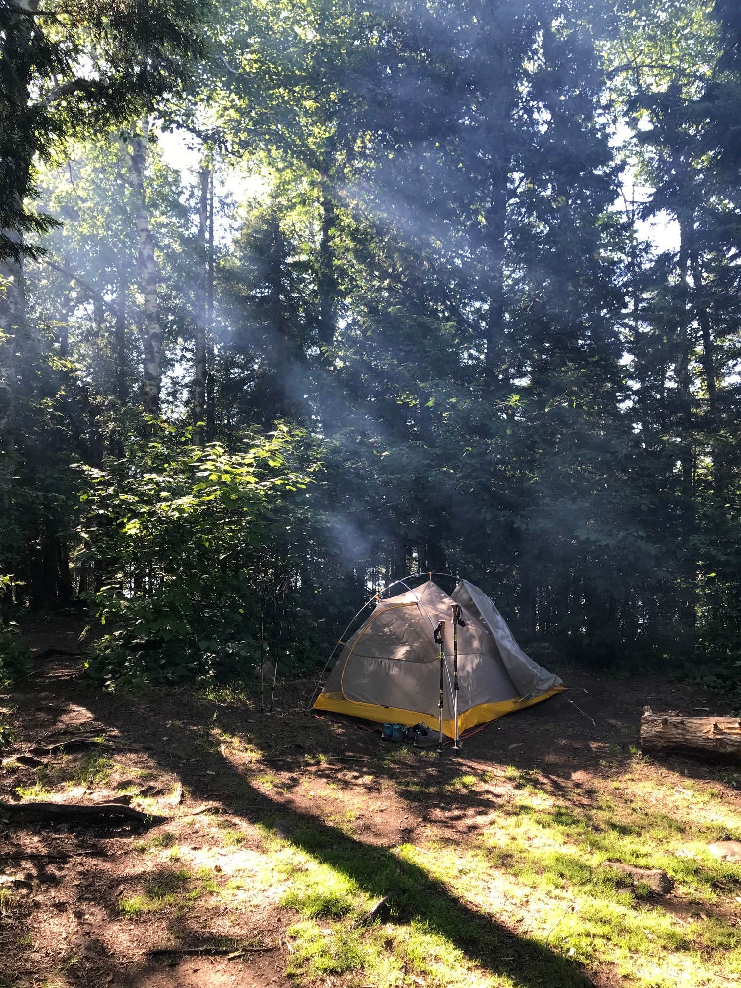 Steph H.'s photo of tent camping at South Sonju Lake Camping near Tofte, MN