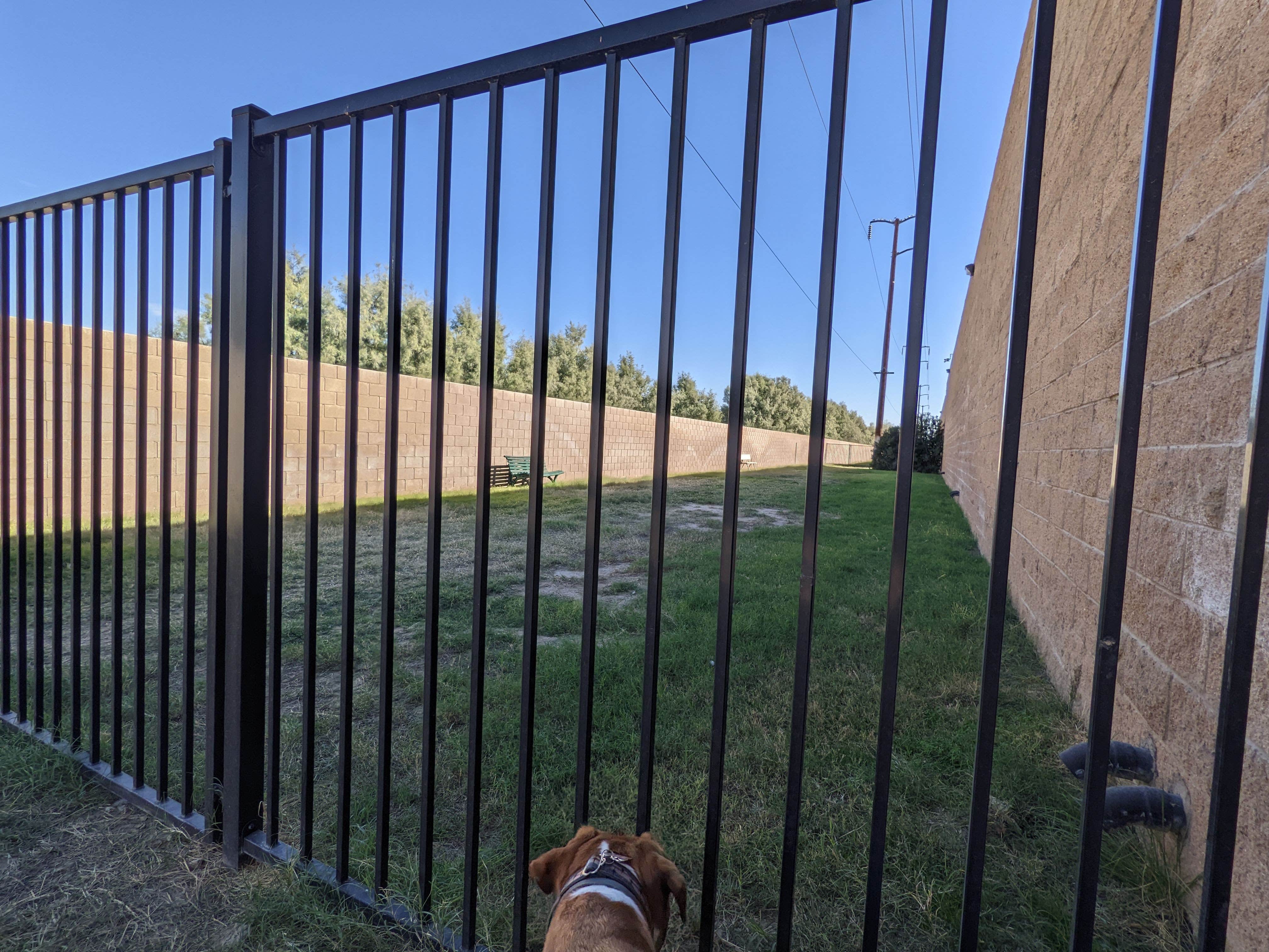 Laura M.'s photo of camping with pets at Emerald Desert RV Resort near Indio, CA