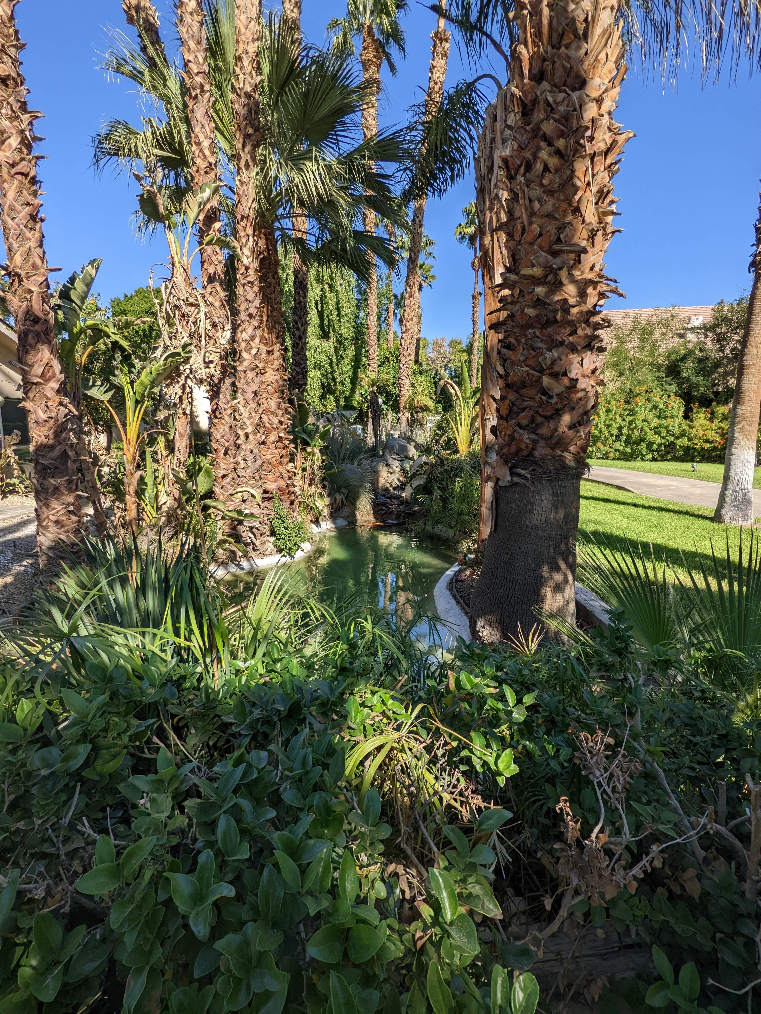 Camper-submitted photo at Emerald Desert RV Resort near Palm Springs, CA