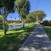 Review photo of Emerald Desert RV Resort by Laura M., November 21, 2022