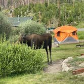 Review photo of Grand Lake / Rocky Mountain National Park KOA Journey by Christiana T., November 21, 2022