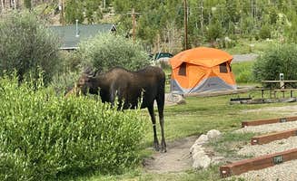 Christiana T.'s photo at Grand Lake / Rocky Mountain National Park KOA Journey near Rocky Mountain National Park