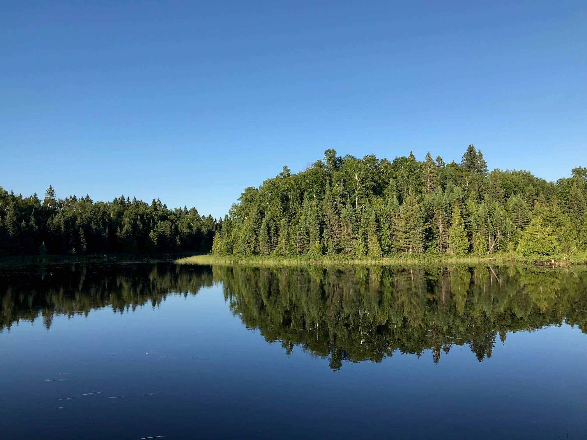 Camper-submitted photo at South Sonju Lake Camping near Beaver Bay, MN