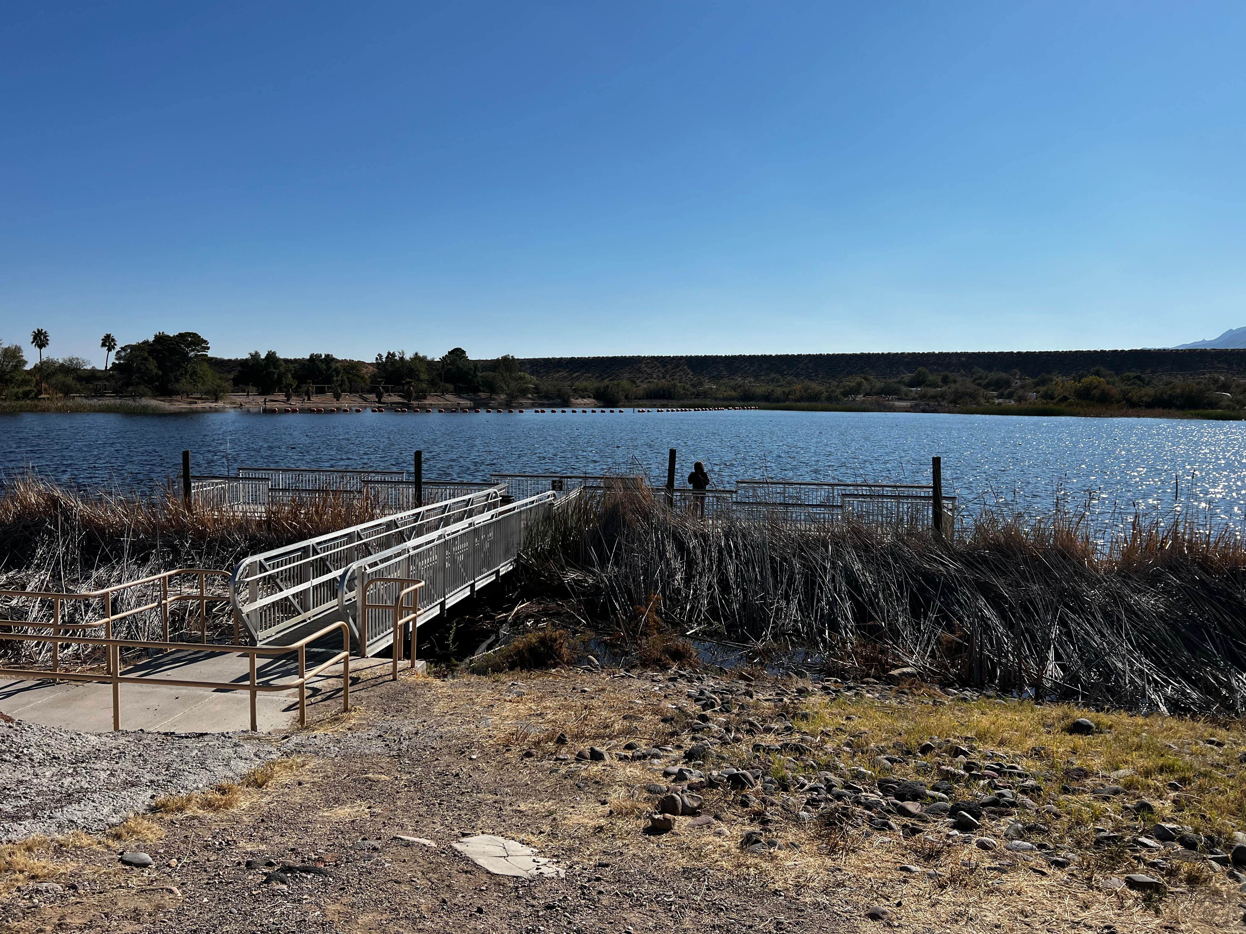 Camper submitted image from Gila Campground — Roper Lake State Park - 4