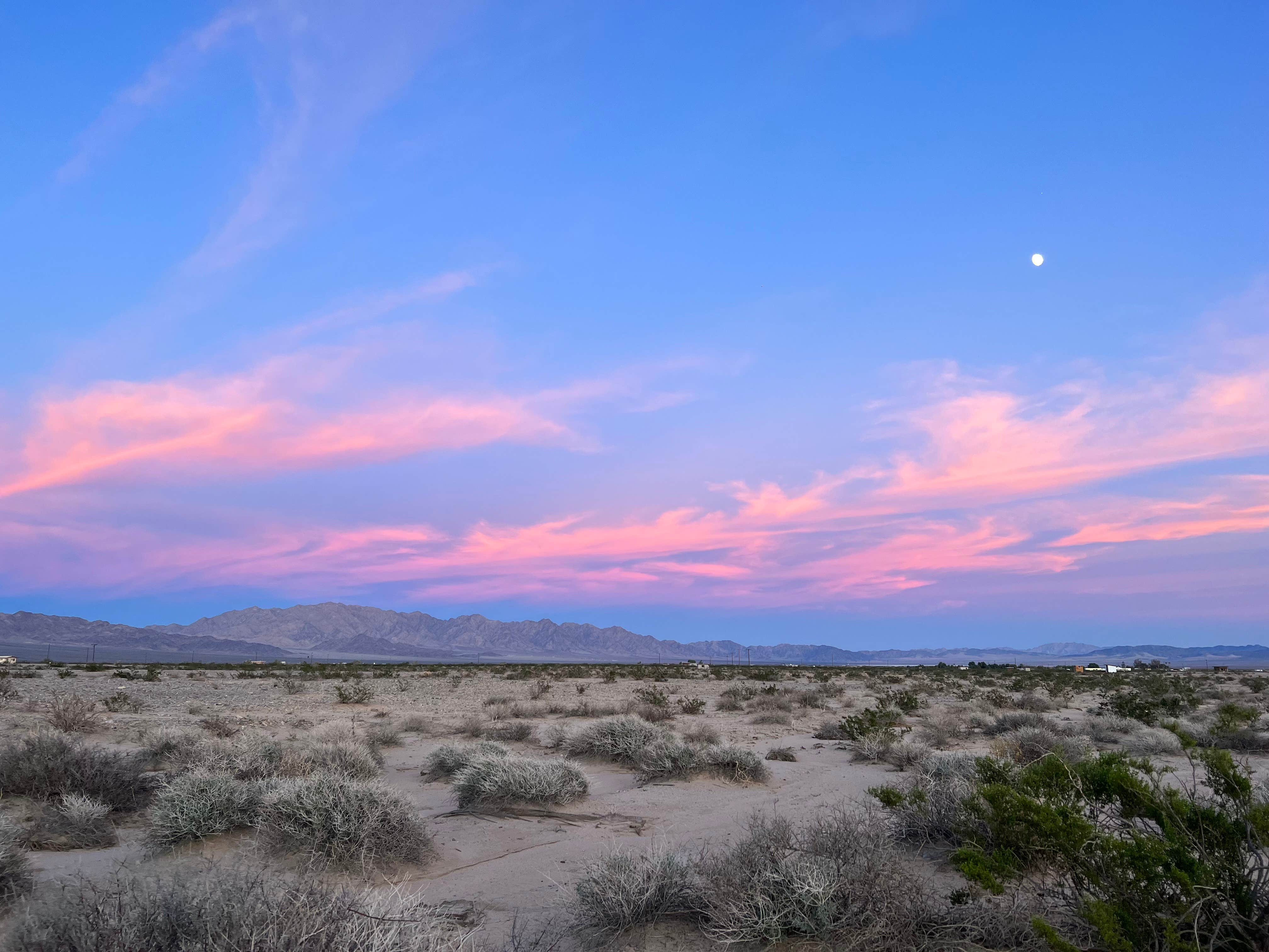Camper-submitted photo at Desert Dreamers Retreat By Fireside near Amboy, CA