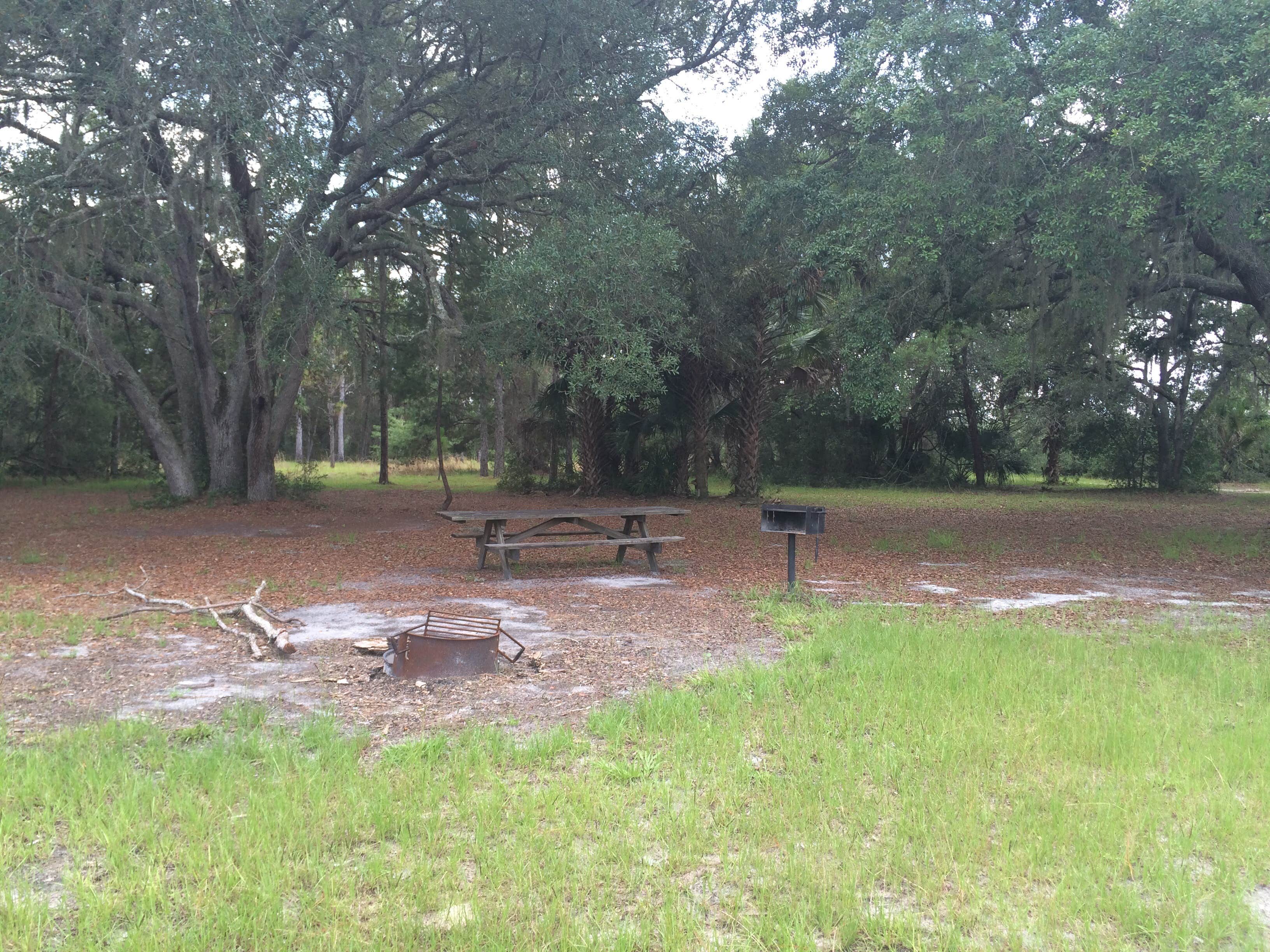 Camper-submitted photo at Seminole State Forest Primitive Campsites near Orange City, FL