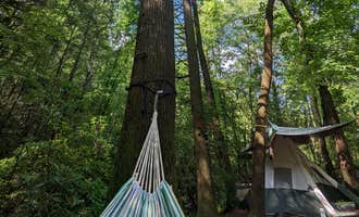 Camping near Brasstown Falls - OVERNIGHT CAMPING NO LONGER PERMITTED: Chattooga River Lodge and Campground, Long Creek, South Carolina