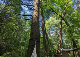 Chattooga River Lodge and Campground