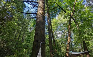 Suzanne E.'s photo at Chattooga River Lodge and Campground near Long Creek, SC