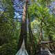 Chattooga River Lodge and Campground