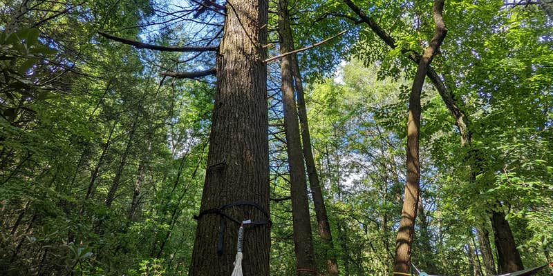 Camper submitted image from Chattooga River Lodge and Campground