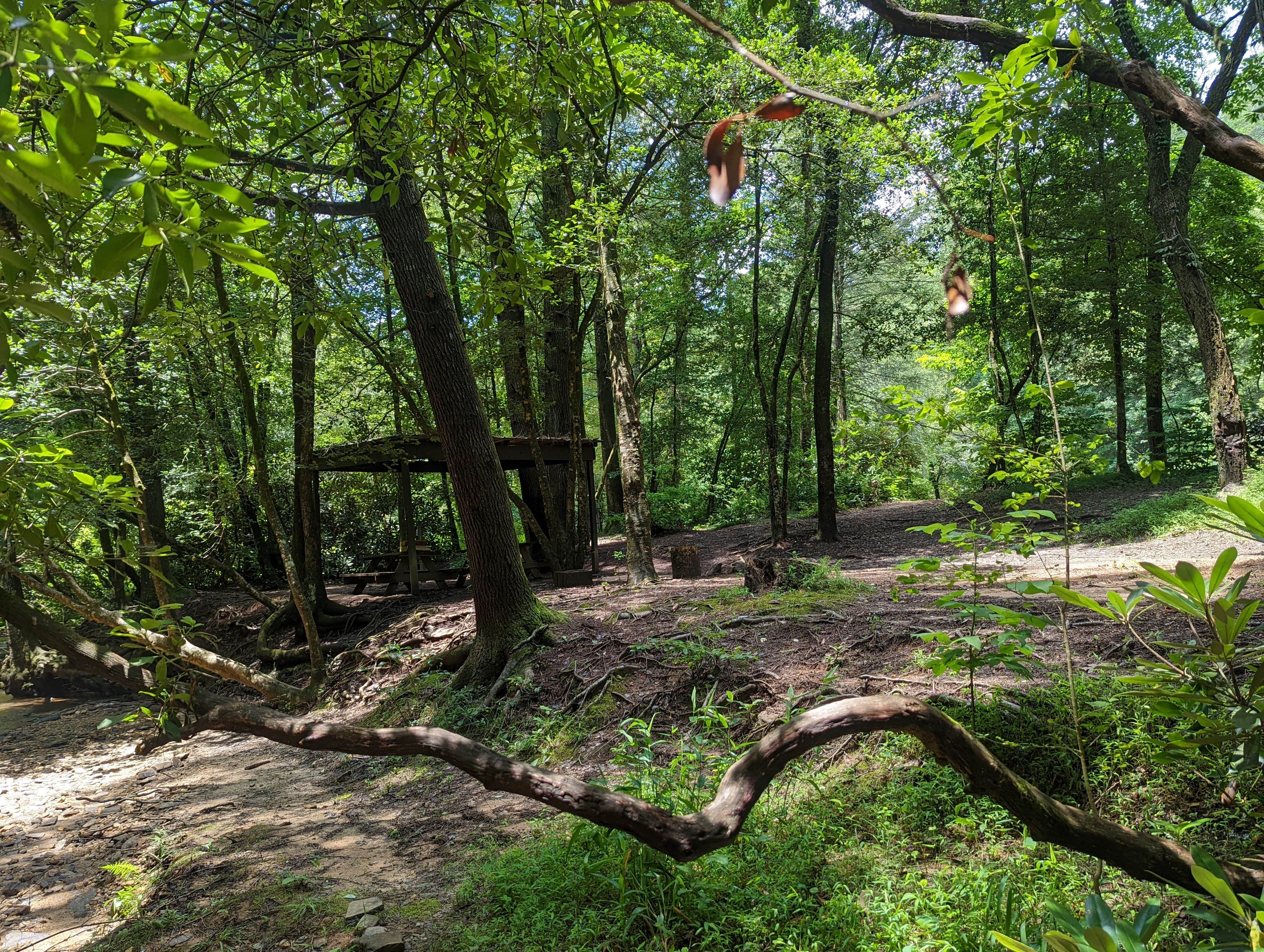 Camper submitted image from Chattooga River Lodge and Campground - 4