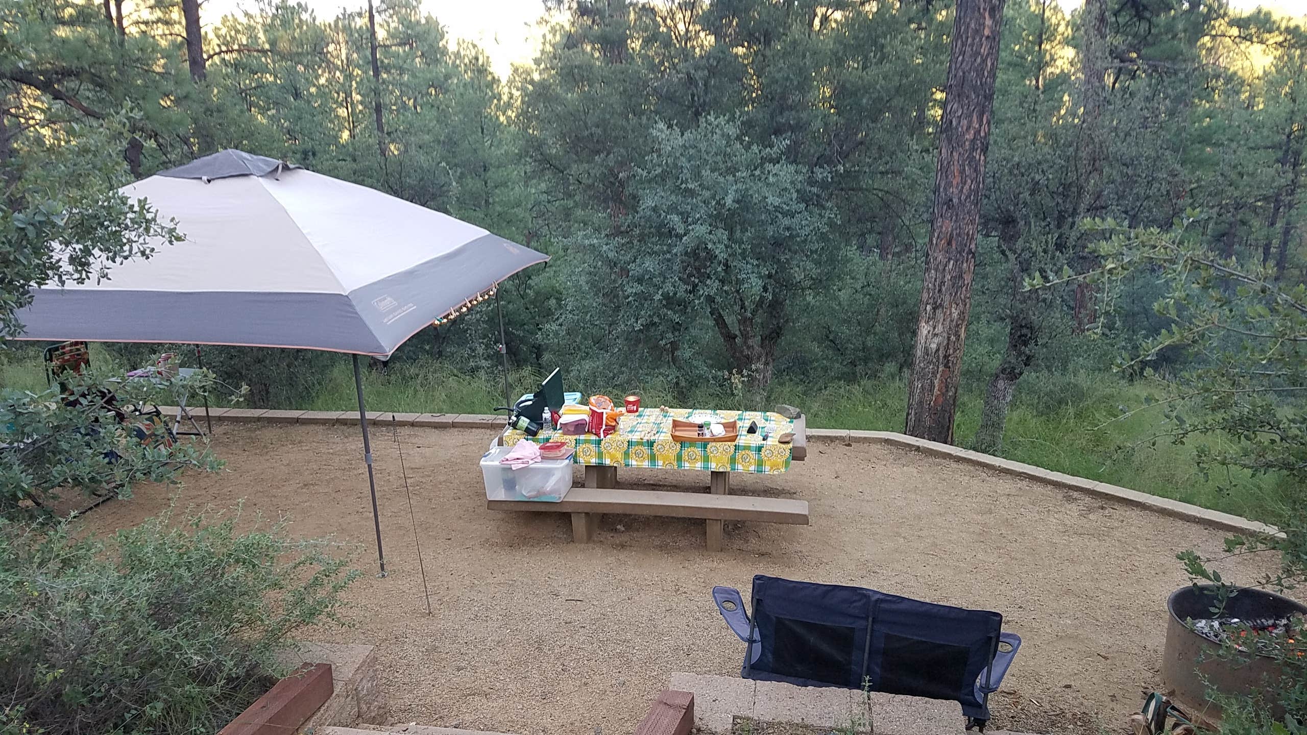 Camper submitted image from Hilltop Campground - 4