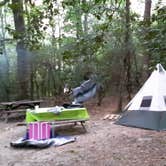 Review photo of Oconee State Park Campground by Suzanne E., November 21, 2022