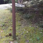 Review photo of Black Forest Family Camping Resort by Suzanne E., November 21, 2022