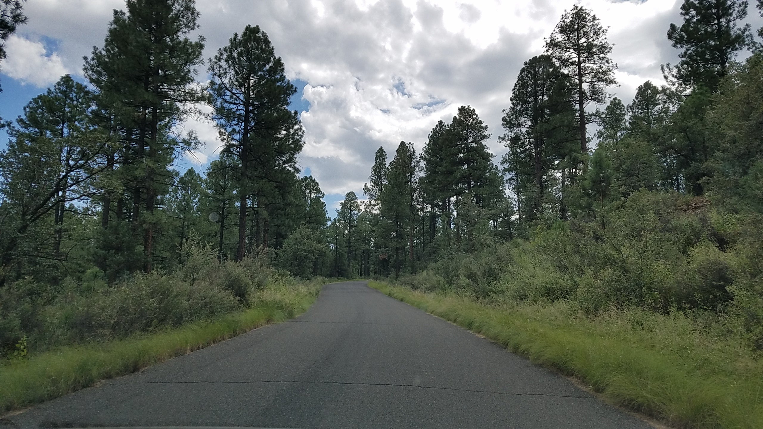 Road in area to campgrounds and Lynx Lake