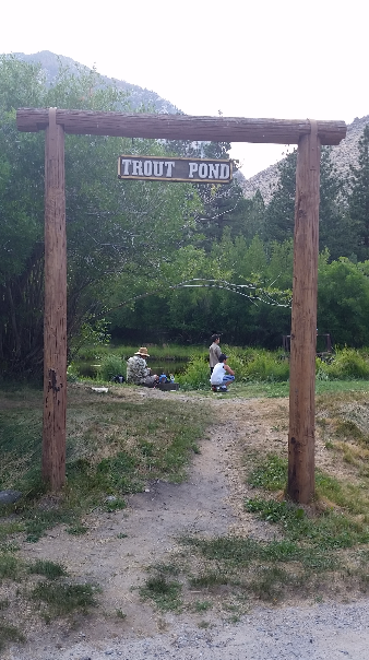 Camper submitted image from Big Pine Creek Campground - 5