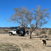 Review photo of Joshua Tree South - BLM Dispersed by Christine C., November 21, 2022