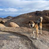 Review photo of Alabama Hills Recreation Area by Christine C., November 21, 2022