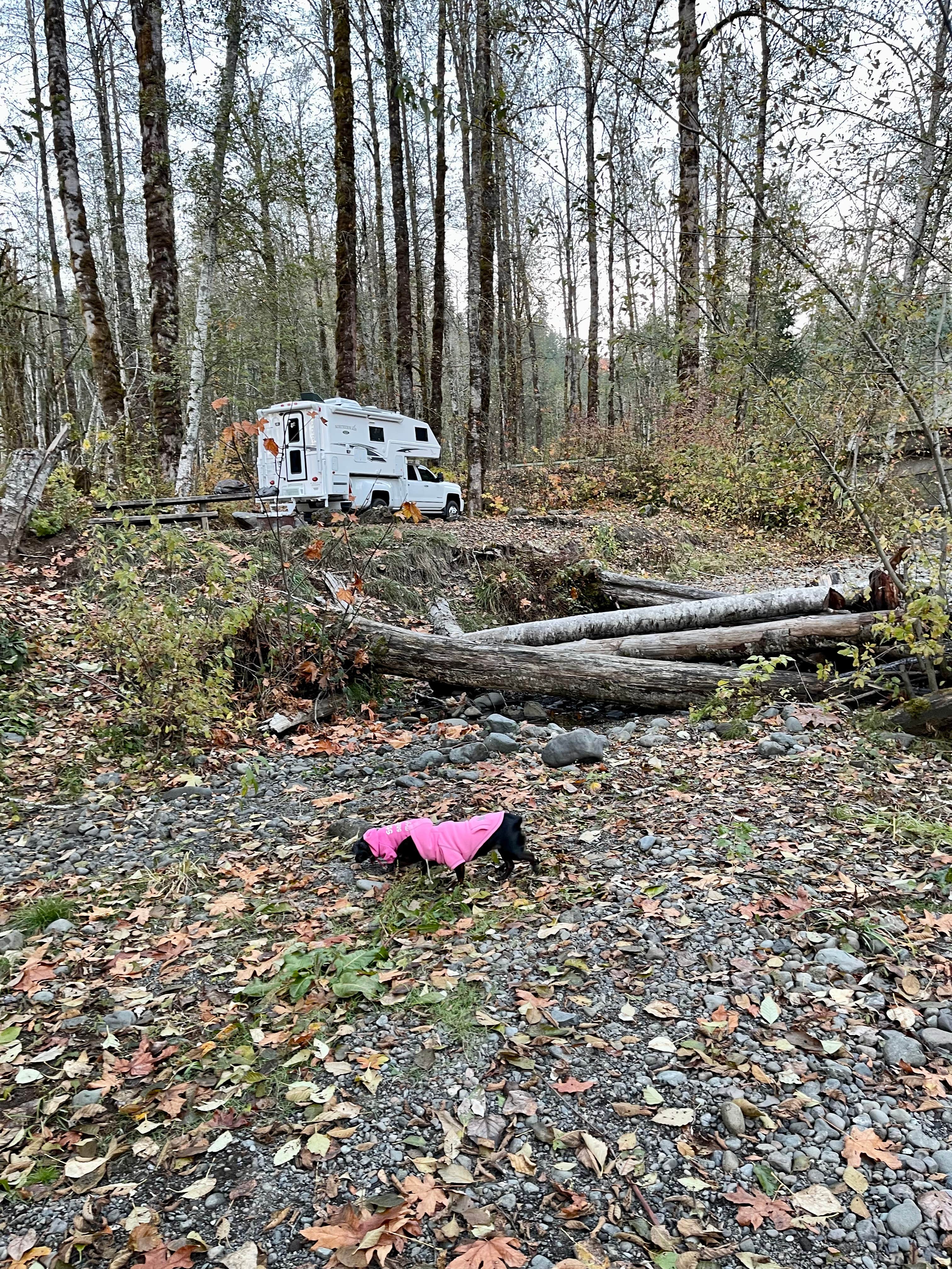 L & J L.'s photo of rv camping at Brown Creek Campground near Matlock, WA