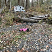 Review photo of Brown Creek Campground by L & J L., November 21, 2022