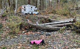 L & J L.'s photo of rv camping at Brown Creek Campground near Hoodsport, WA