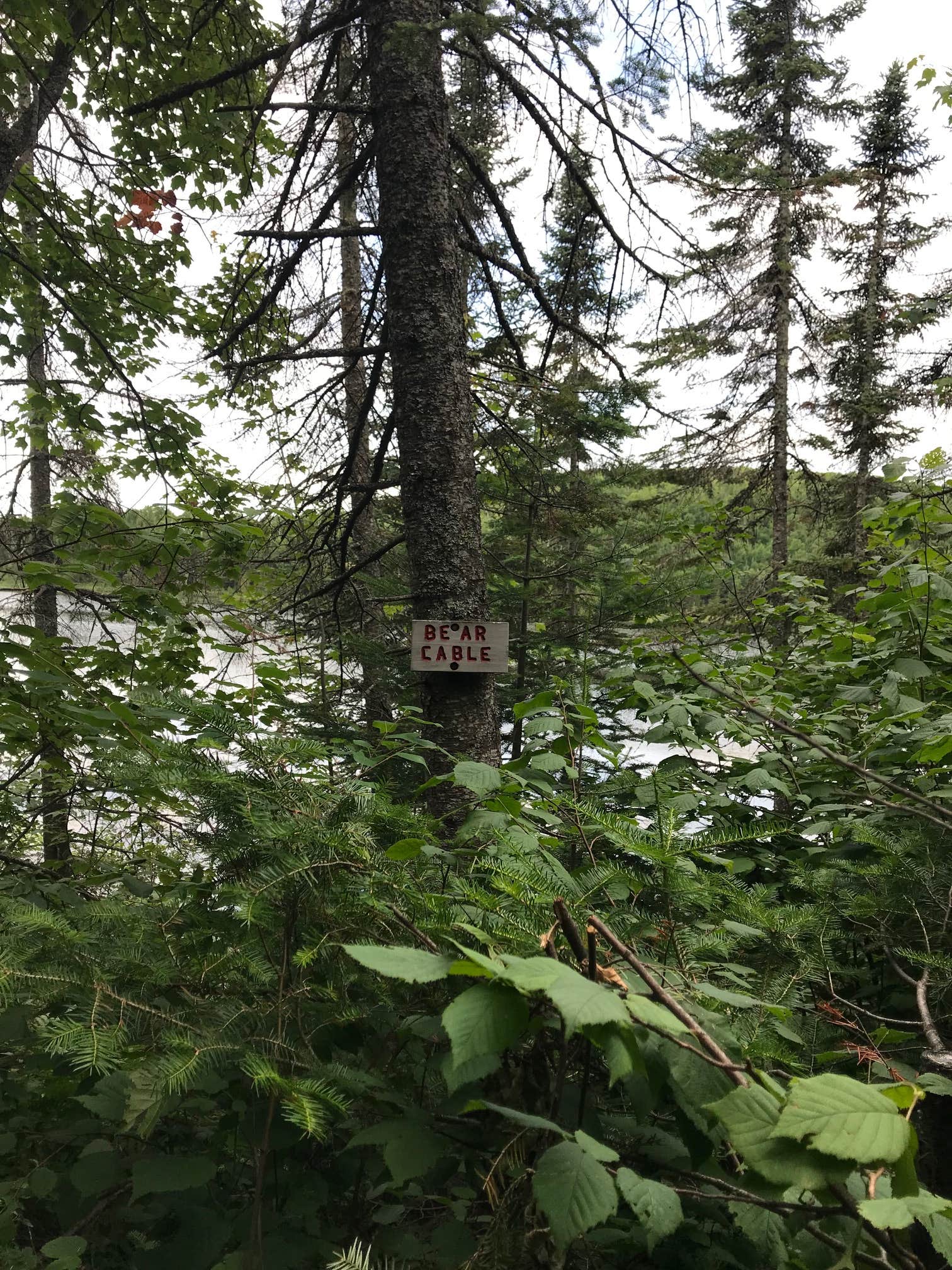 Camper-submitted photo at North Egge Lake Camp near Beaver Bay, MN