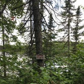 Review photo of North Egge Lake Camp by Steph H., September 18, 2018