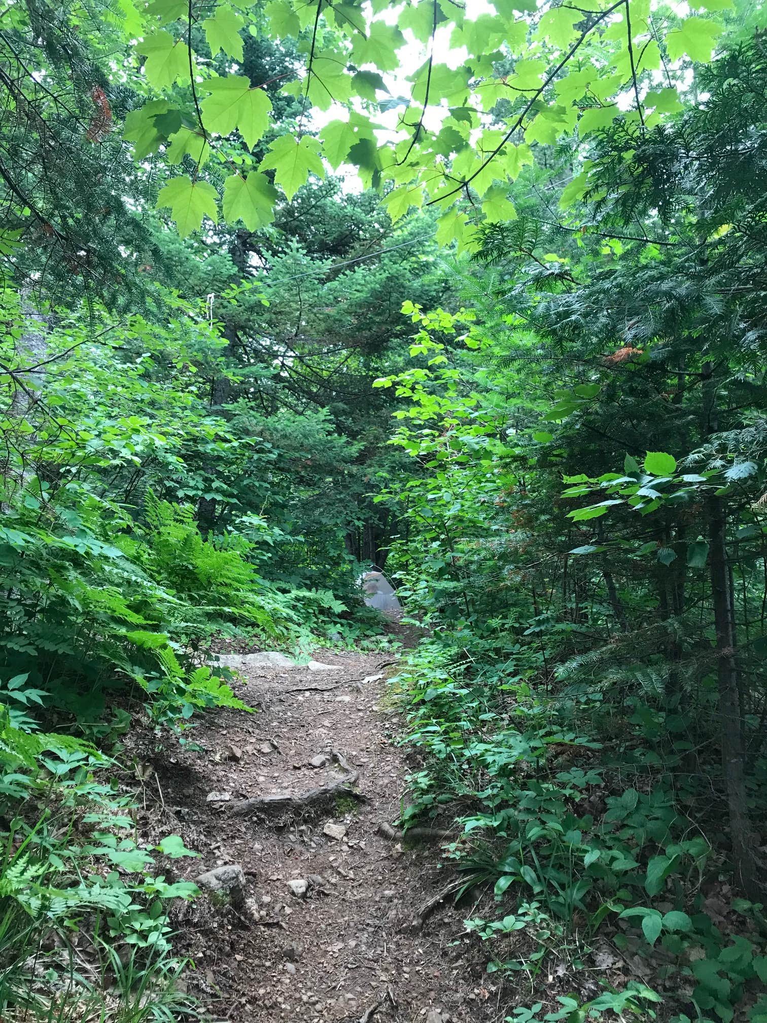 Camper-submitted photo at North Egge Lake Camp near Beaver Bay, MN