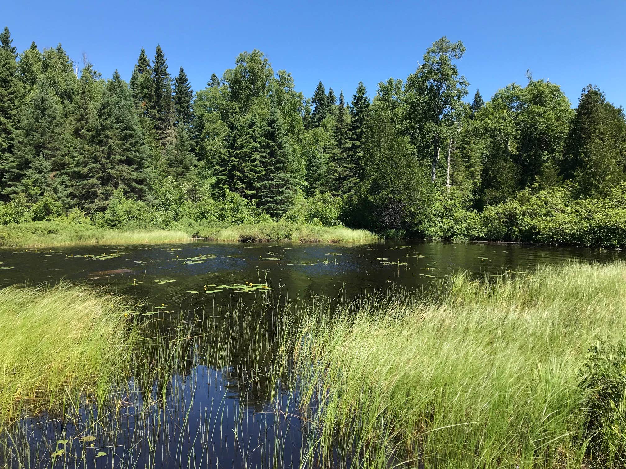 Camper-submitted photo at North Sonju Lake Camping near Beaver Bay, MN