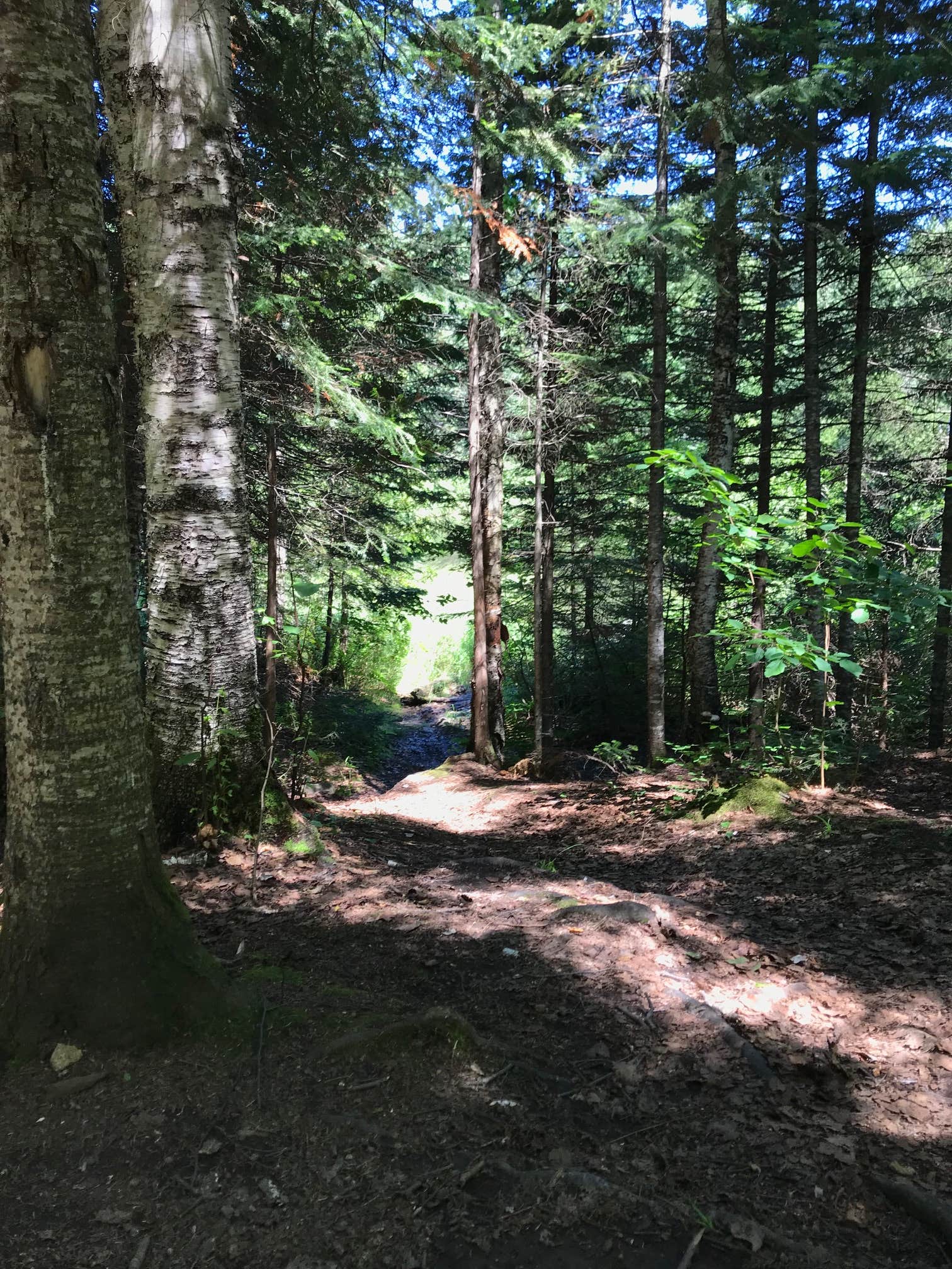 Camper-submitted photo at North Sonju Lake Camping near Beaver Bay, MN