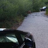 Review photo of Big Pine Creek Campground by Ryan W., August 9, 2016